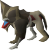Volatile Baboon